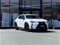 2021 Lexus UX