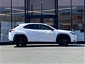 2021 Lexus UX