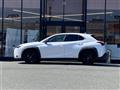 2021 Lexus UX