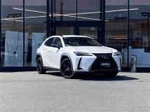 2021 Lexus UX