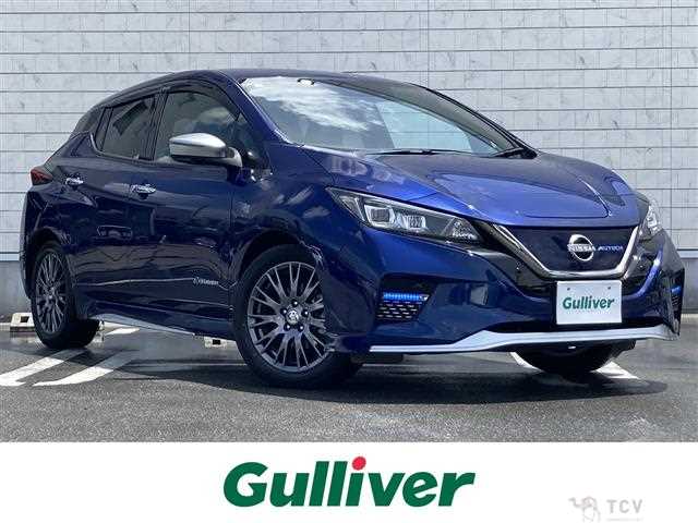 2022 Nissan Leaf