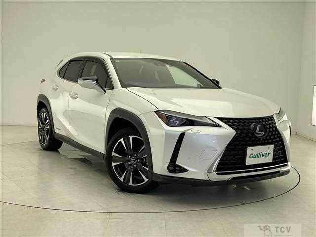 2019 Lexus UX