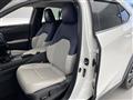 2019 Lexus UX