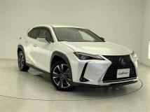 2019 Lexus UX