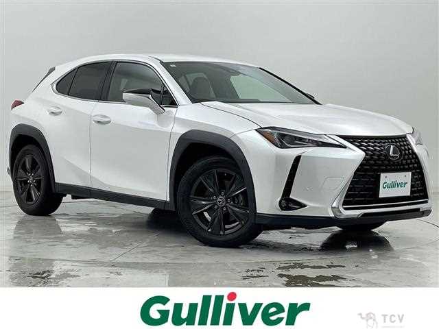 2019 Lexus UX