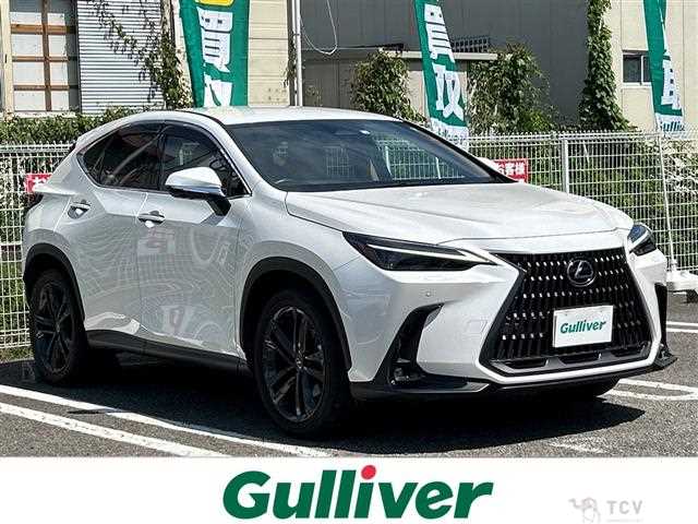 2023 Lexus NX