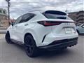 2024 Lexus NX