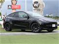 2022 Tesla Motors Others