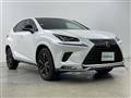 2020 Lexus NX