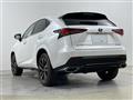 2020 Lexus NX