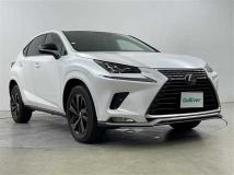 2020 Lexus NX