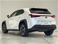 2023 Lexus UX