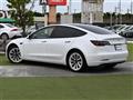 2021 Tesla Motors Others