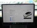 2021 Tesla Motors Others