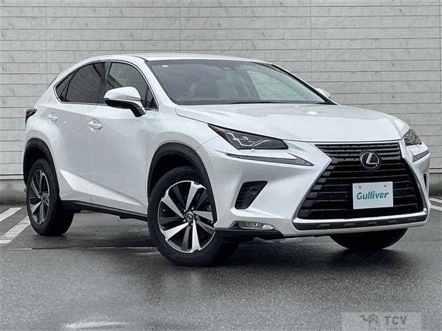 2018 Lexus NX