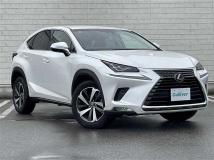2018 Lexus NX