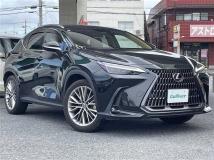 2024 Lexus NX