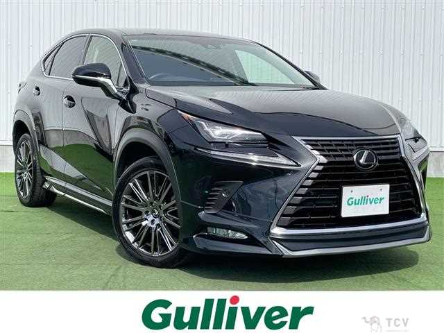 2018 Lexus NX