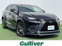 2018 Lexus NX