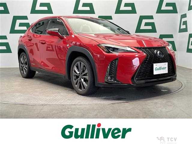 2020 Lexus UX