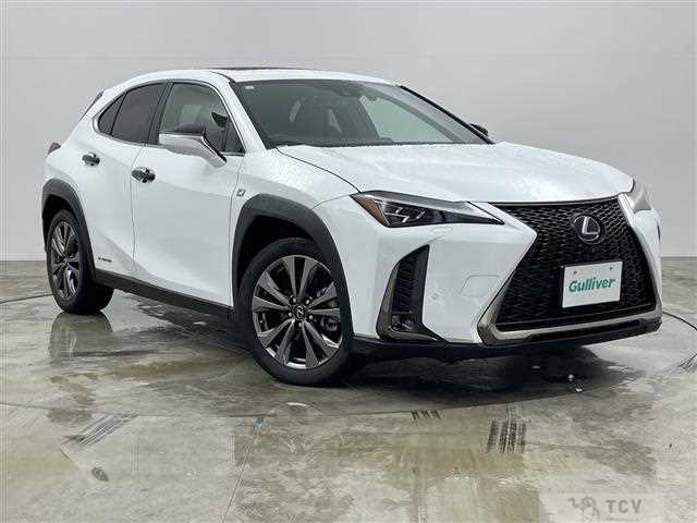 2019 Lexus UX