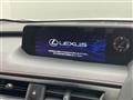 2019 Lexus UX