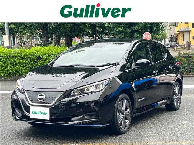 2021 Nissan Leaf