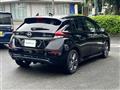2021 Nissan Leaf