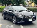 2021 Nissan Leaf