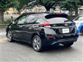 2021 Nissan Leaf