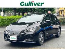 2021 Nissan Leaf