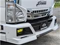 2010 Nissan Nissan Others
