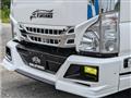 2010 Nissan Nissan Others