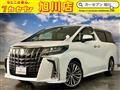 2018 Toyota Alphard G