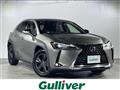 2019 Lexus UX