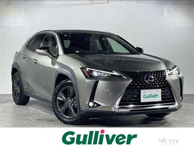 2019 Lexus UX