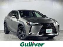 2019 Lexus UX