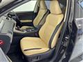 2015 Lexus NX