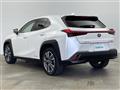 2021 Lexus UX