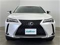 2021 Lexus UX