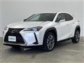 2021 Lexus UX