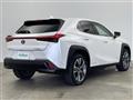 2021 Lexus UX