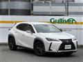 2019 Lexus UX