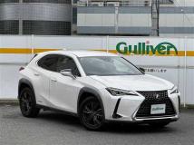 2019 Lexus UX