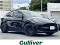 2023 Tesla Motors Others