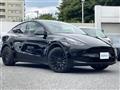 2023 Tesla Motors Others