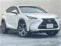 2015 Lexus NX