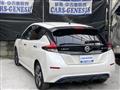 2017 Nissan Nissan Others