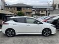 2017 Nissan Nissan Others