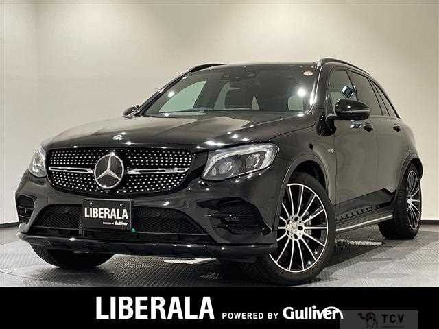 2019 AMG AMG Others